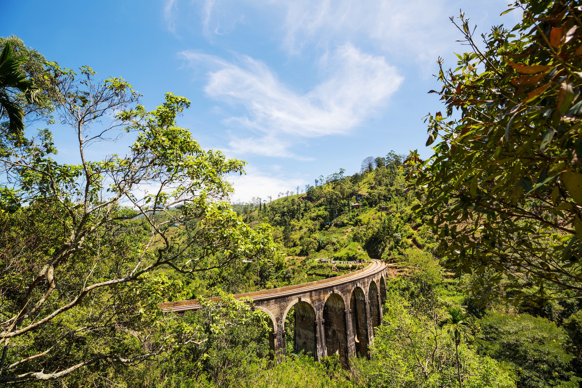 Bridge on Sri Lanka