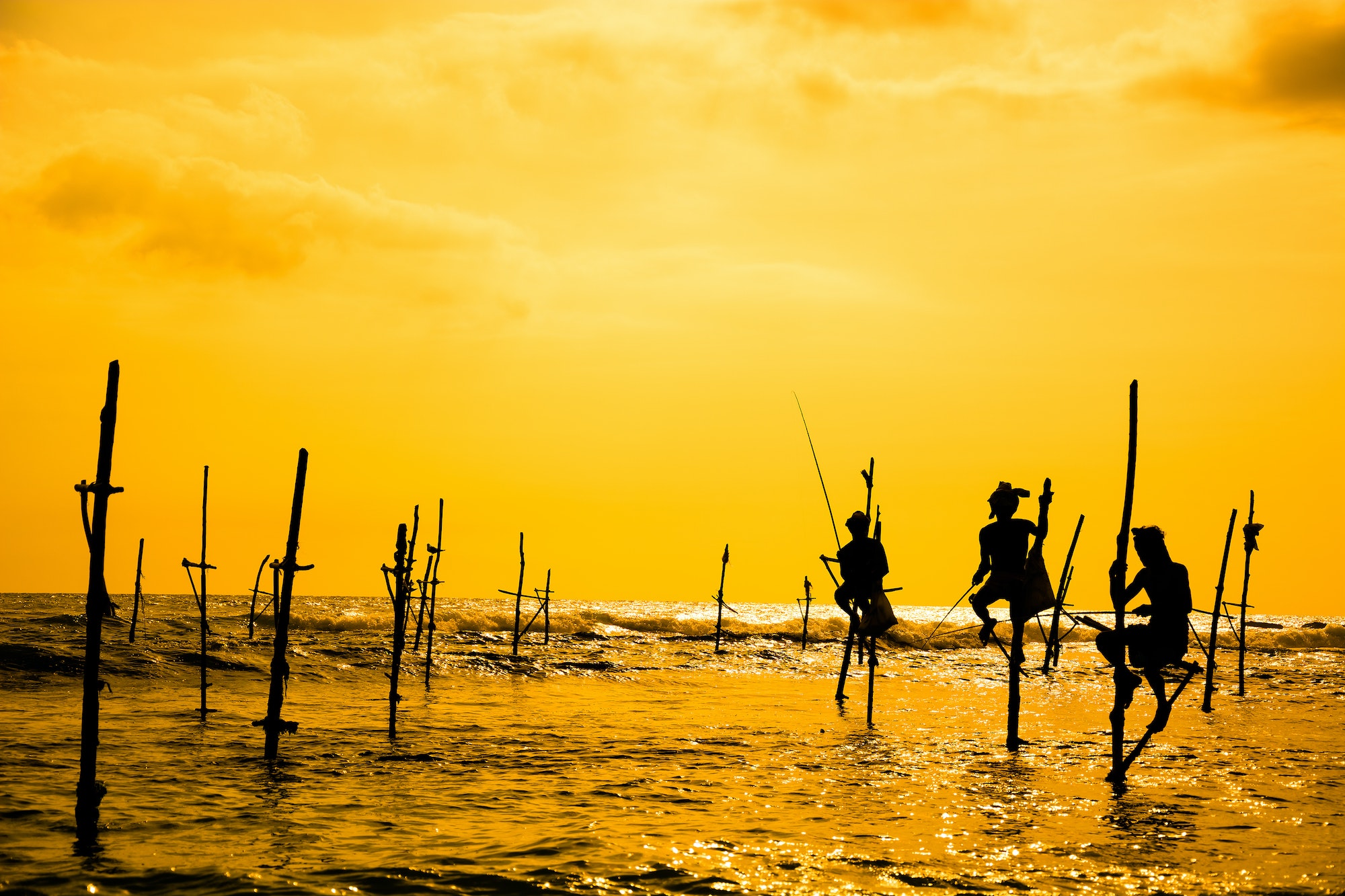 Traditional stilt fisherman in Sri Lanka